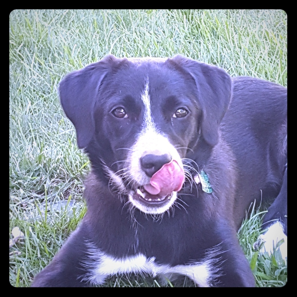 Meet your Posher, Doris